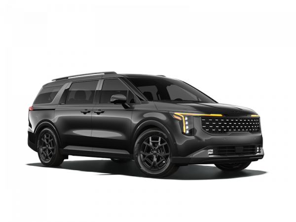Kia Carnival Серый