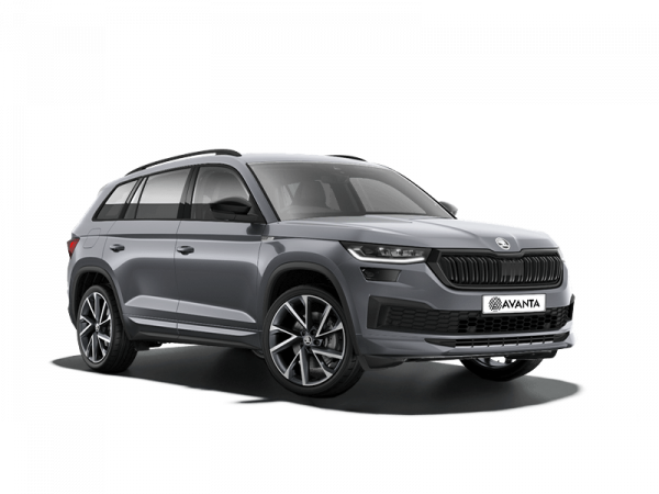 Skoda Kodiaq NEW Серый